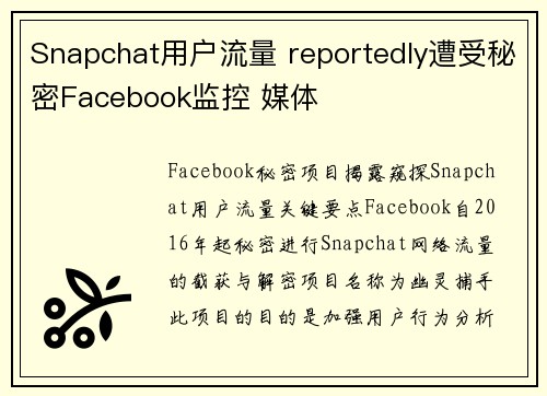 Snapchat用户流量 reportedly遭受秘密Facebook监控 媒体