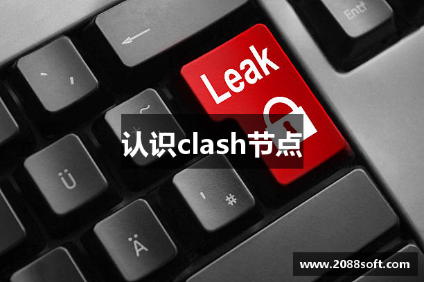 认识clash节点